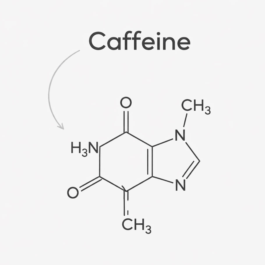 Molecular structure of caffeine on a white background