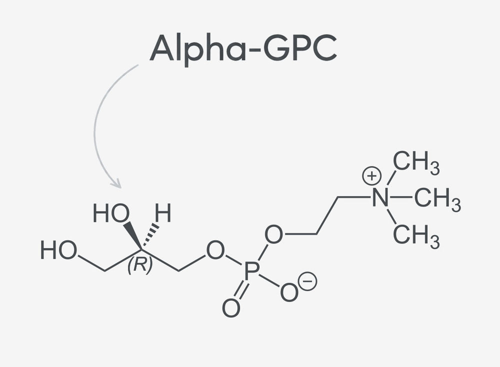 Molecular structure of Alpha-GPC on a white background