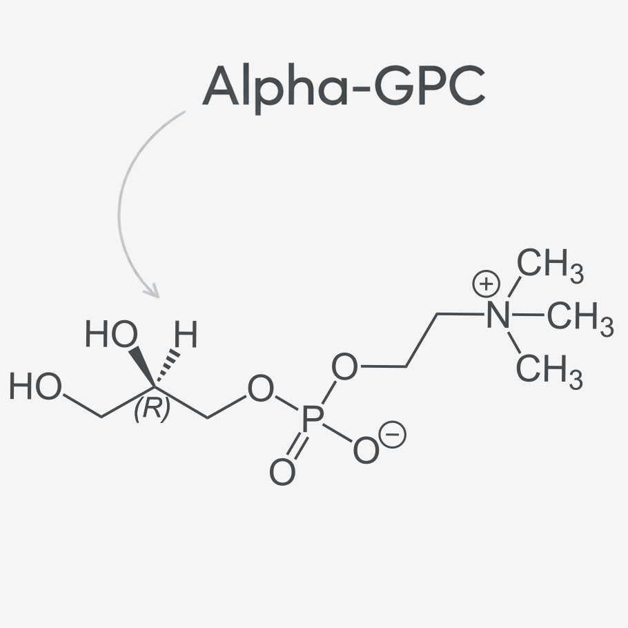 Chemical structure of Alpha-GPC on a white background