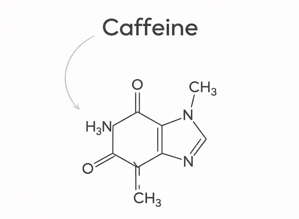 Chemical structure of caffeine on a white background