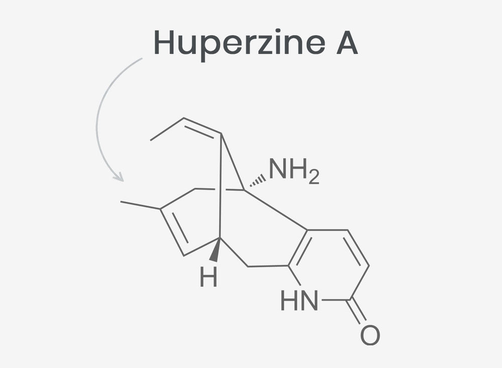Chemical structure of Huperzine A on a white background