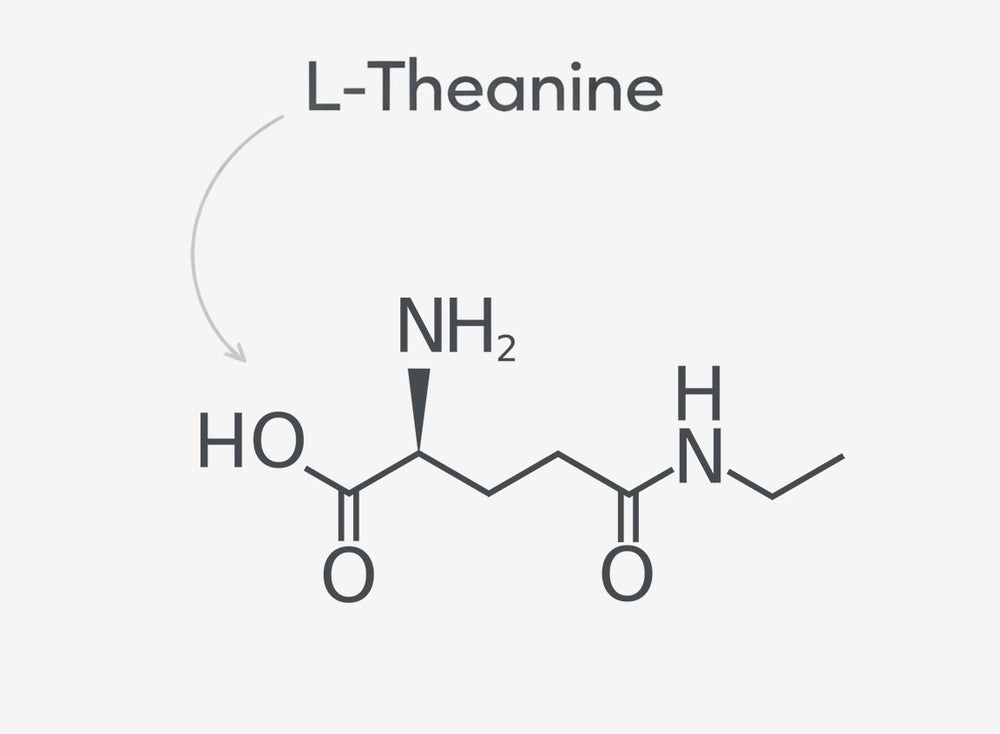 Molecular structure of L-Theanine on a white background