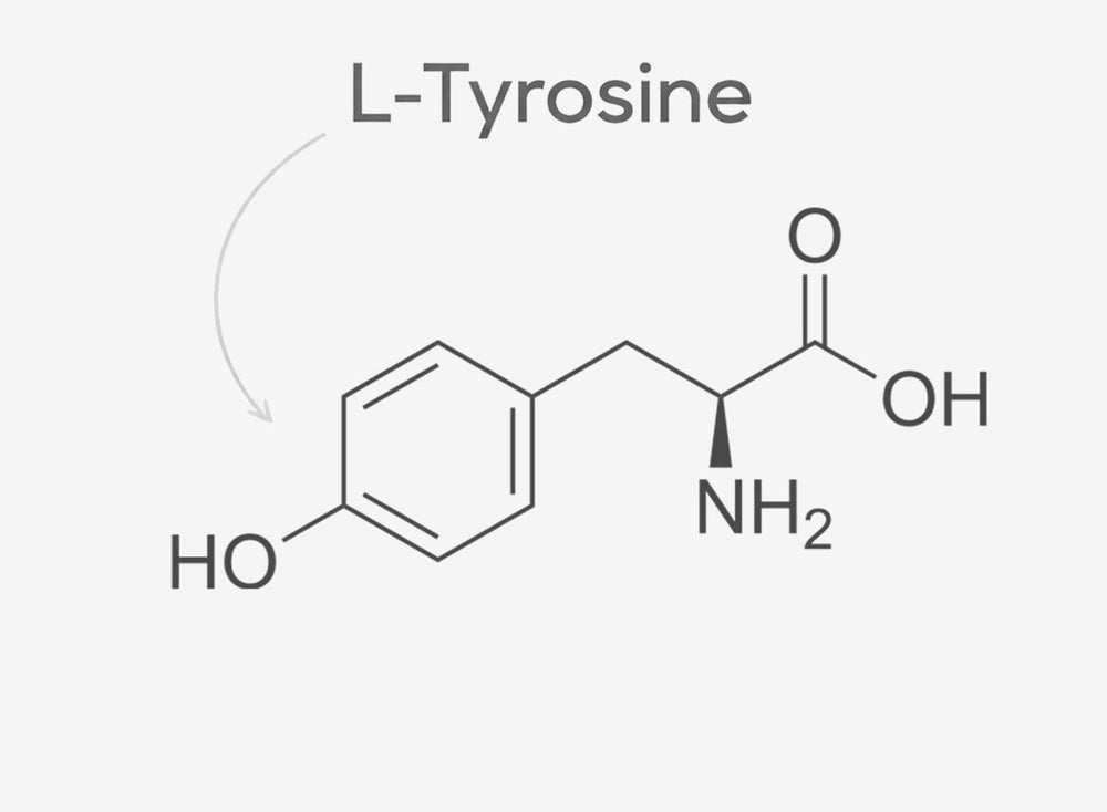 Chemical structure of L-Tyrosine on a white background